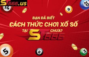 Review xổ số ST666 chi tiết đến từng milimet từ kinh nghiệm thực tế