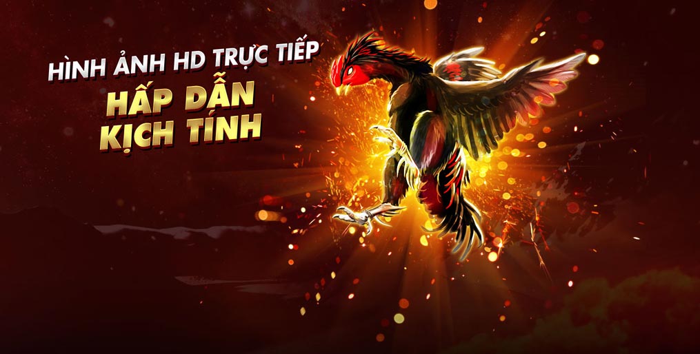 Kinh nghiệm đá gà trên st666 giúp thắng cược 100%