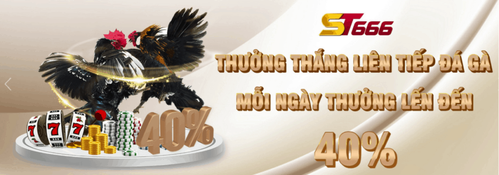 Thưởng thắng liên tiếp đá gà tại ST666