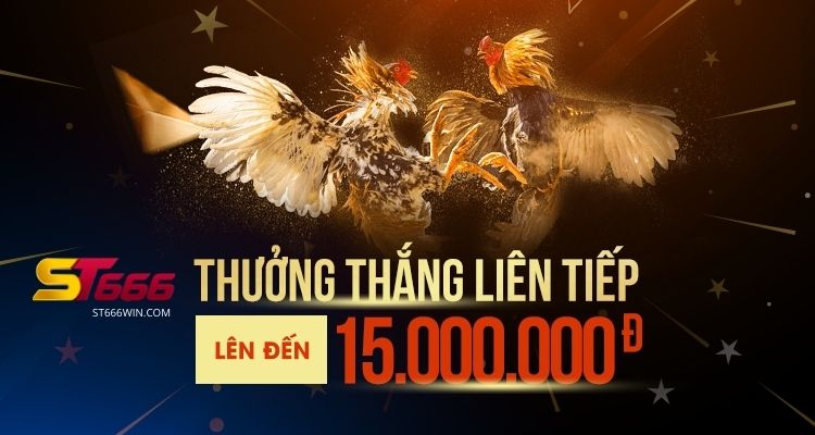 Những lý do nên chơi đá gà trên ST666