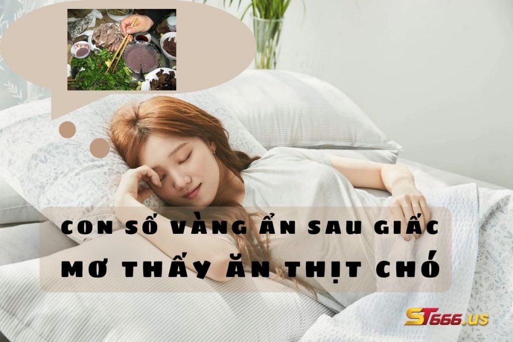 Con Số Vàng Ẩn Sau Giấc Mơ Thấy Ăn Thịt Chó