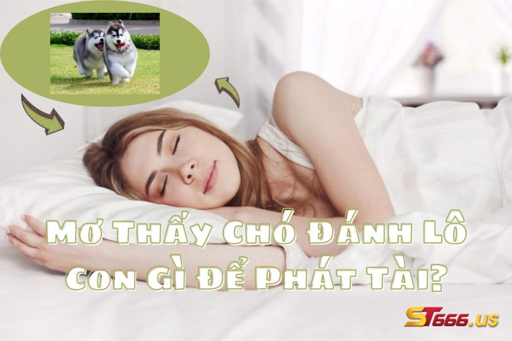 Mơ Thấy Chó Đánh Lô Con Gì Để Phát Tài