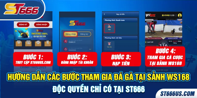 Hướng dẫn chi tiết các bước cá cược đá gà ST666 sảnh WS168 