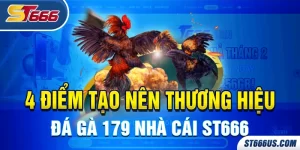 4 Điểm Tạo Nên Thương Hiệu Đá Gà 179 Nhà Cái ST666 