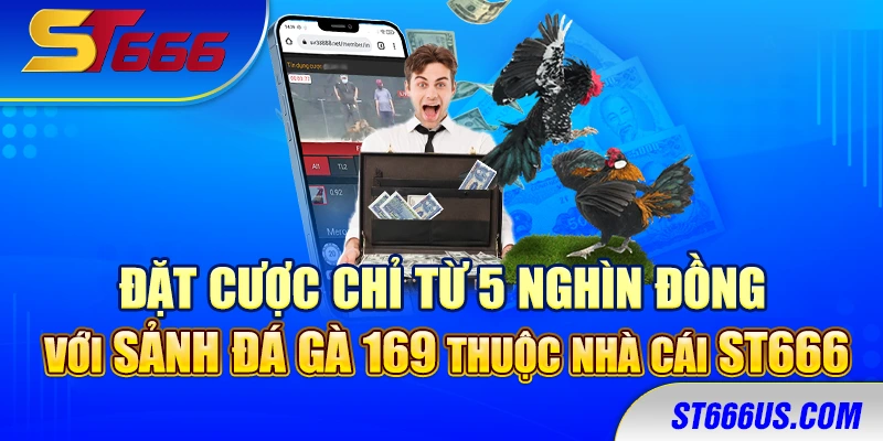 Đặt cược chỉ từ 5 nghìn đồng với sảnh đá gà 169 thuộc nhà cái ST666