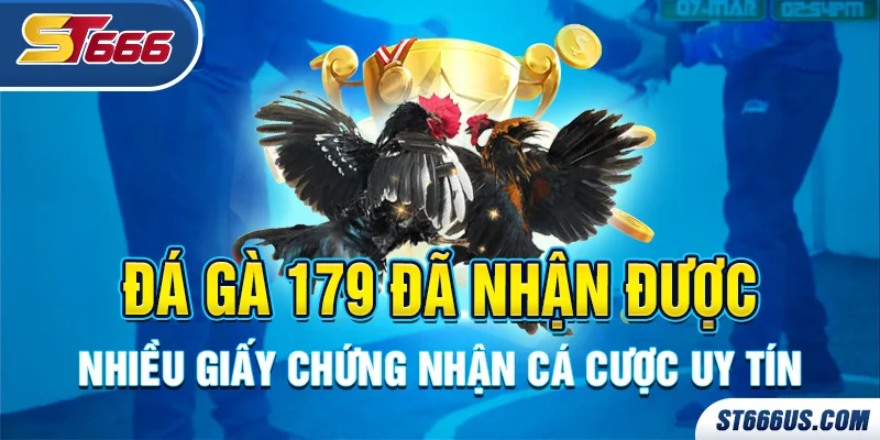 Đá gà 179 đã nhận được nhiều giấy chứng nhận cá cược uy tín