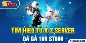 Tìm hiểu từ a -z sever Đá gà 169 ST666 