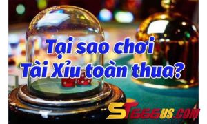 Tại sao chơi tài xỉu toàn thua là câu hỏi được rất nhiều người đặt ra.