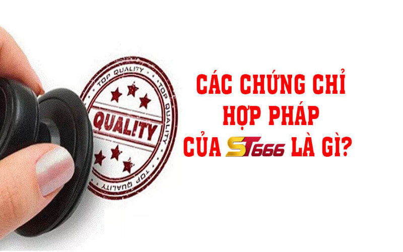 Nhà cái phải có các giấy tờ hợp pháp để khán giả yên tâm tham gia