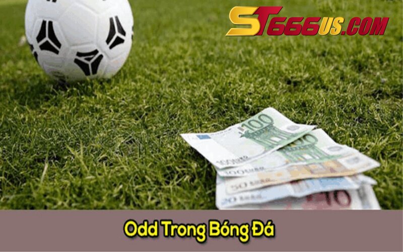 Giới thiệu về Odds