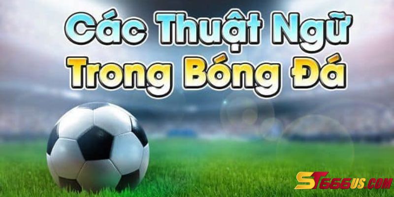 Hiểu được thuật ngữ cá độ bóng đá giúp đặt cược hiệu quả 