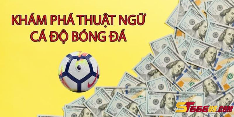 Những thuật ngữ cá độ bóng đá cần biết tại nhà cái 