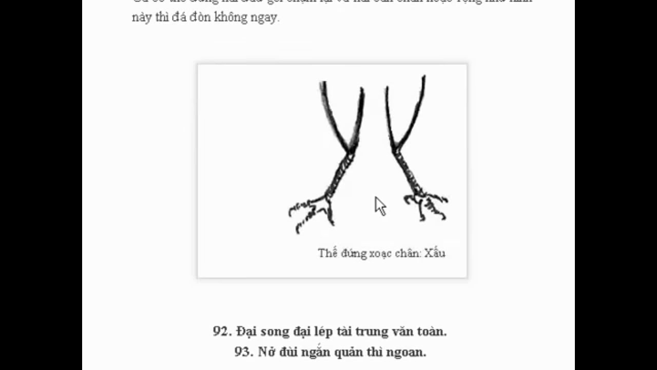 Cách chọn gà đá hay Tìm hiểu cách thực hiện và các lời khuyên từ người có kinh nghiệm